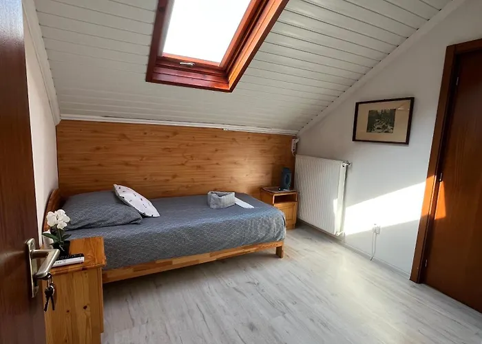 게스트하우스 Tang House 唐舍 부다페스트